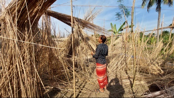 দুর্গাপুরে পানবরজে প্রতিপক্ষের তান্ডব