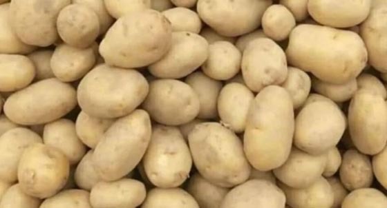 হিলি স্থলবন্দর দিয়ে ভারত থেকে আলু আমদানি বন্ধ