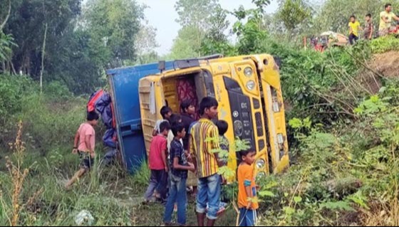 সড়কে গাছ ফেলে ডাকাতি ছুরিকাঘাতে চালক, হেলপার আহত