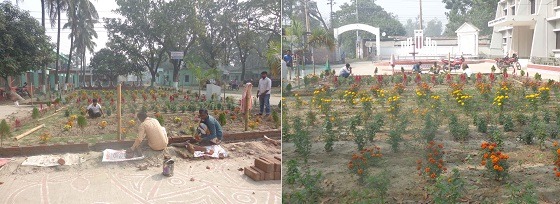 ফুলবাড়ী পরিষদে সৈন্দর্য্য বর্ধনে ফুলের বাগান নির্মান