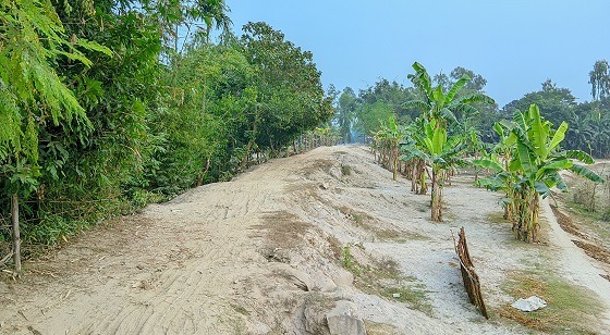 ফুলবাড়ীতে ধরলা নদীর বন্যা নিয়ন্ত্রণে প্রয়োজন টেকশই বাঁধ