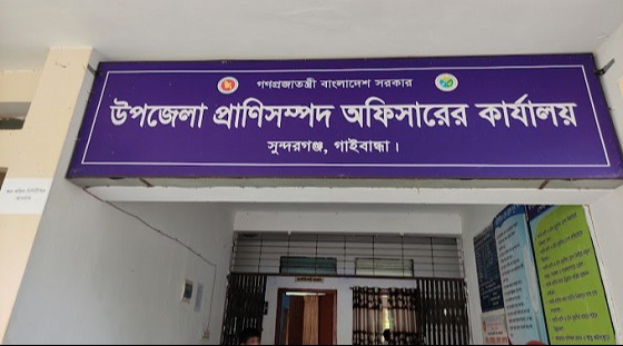 জনবল সংকটে সেবা বিঘ্নিত,সাবস্টেশন বন্ধ