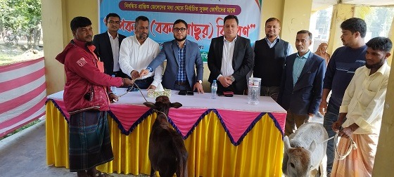 হাতিয়ায় জেলেদের বকনা বাছুর বিতরণ