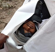 বীরগঞ্জে সড়ক দূর্ঘটনায় ২ বন্ধু নিহত