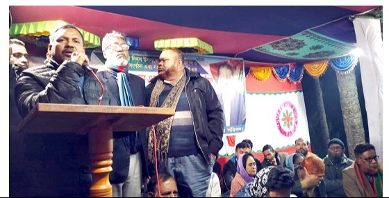 বিনএপির বিজয় দিবস পালন