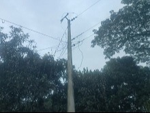 লালপুর বৈদ্যুতিক ট্রান্সফর্মার চুরি