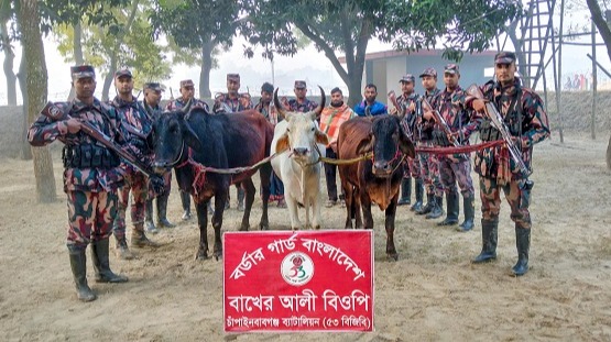 চাঁপাইনবাবগঞ্জ সীমান্তে তিন যুবক আটক