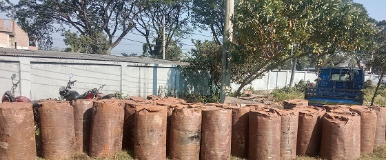 কোটচাঁদপুরে  তিন চোর আটক