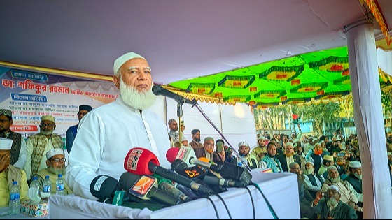 আ.লীগ মানুষকে ভাড়াটিয়া মনে করেছিলো: আমীর