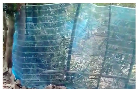 চলাচলের রাস্তায় বেড়া