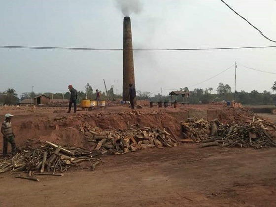 সাতক্ষীরায় ইটভাটায় কয়লার সাথে পুড়ছে কাঠ