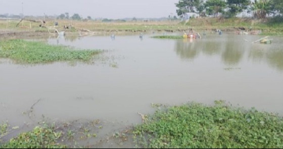 কৃষি জমির মাটি কেটে বিক্রির অভিযোগ