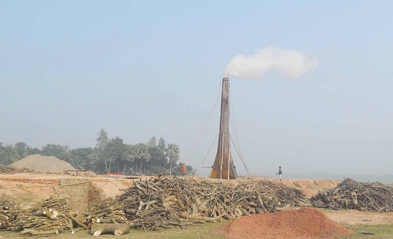 বাগমারায় অর্ধশতাধিক ইটভাটায় পুড়ছে কাঠ