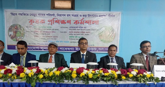 ঝিনাইদহের মাঠে মাঠে সরিষা হলুদের সমারোহ