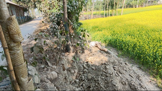 সরকারি গাছ ও মাটি কেটে নেওয়ার অভিযোগ