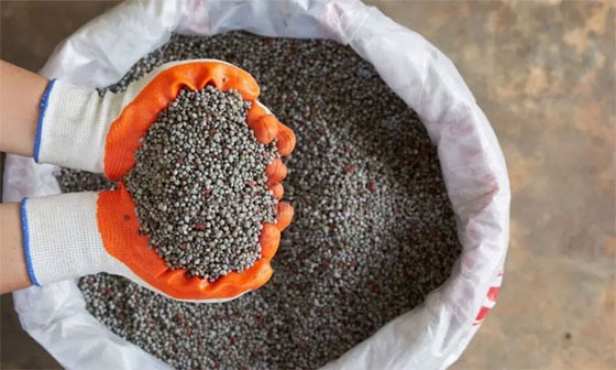 দেশে মানহীন নন-ইউরিয়া সারের বিস্তার ঘটছে