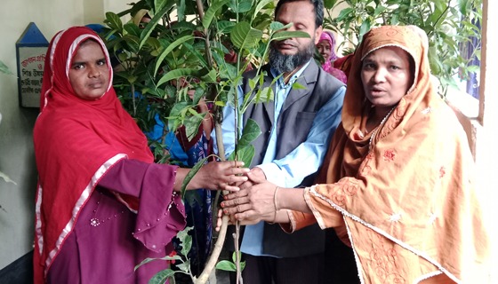 পীরগাছায় ২দিন ব্যাপী প্রশিক্ষণ ও গাছের চারা বিতরণ