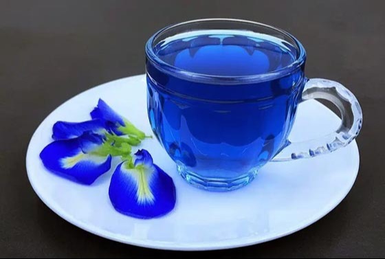 অপরাজিতা ফুলের চায়ে মিলবে যে উপকার