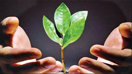 যে আমলে হায়াত বৃদ্ধি পায়