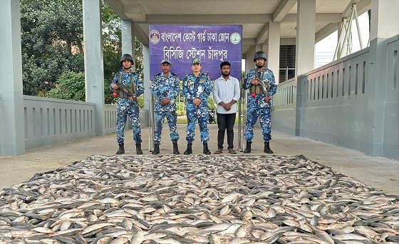 চাঁদপুরে  ১৬শ’ কেজি  ইলিশ জব্দ