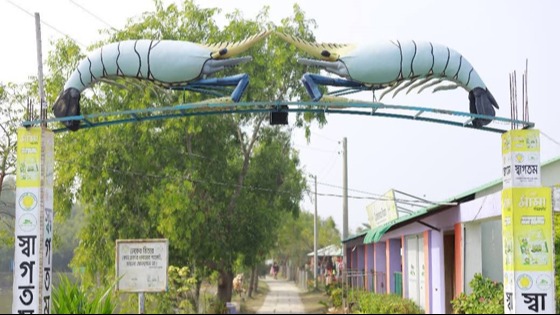 দেবহাটার রুপসী ম্যানগ্রোভের রুপে মুদ্ধ বিনোদন প্রেমীরা