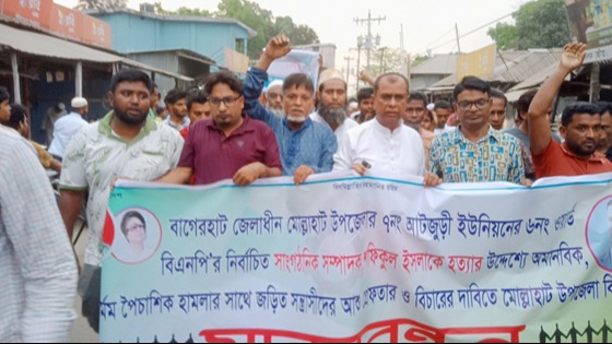 মোল্লাহাটে বিএনপি নেতার উপর সন্ত্রাসী হামলার প্রতিবাদে মানববন্ধন