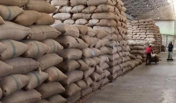 সরকারি গুদামে চাল না দেয়ায় শাস্তির আওতায় আসছে বিপুলসংখ্যক চালকল