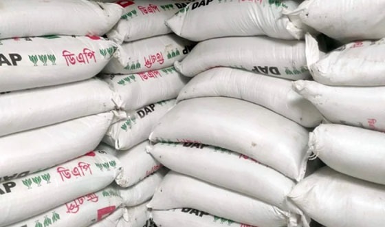 কাহারোলে ৩০ বস্তা ডিএপি সার পাচারের সময় আটক করেছে পুলিশ