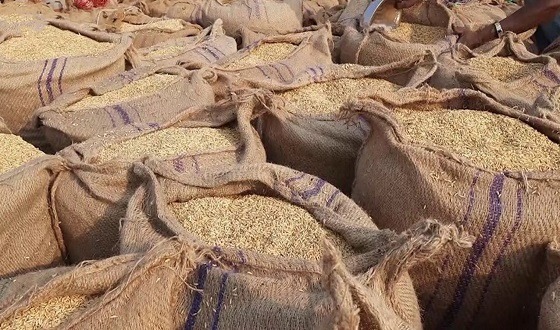 ধান-চাল সংগ্রহে চট্টগ্রাম অঞ্চলে বার বার ব্যর্থ খাদ্য অধিদপ্তর