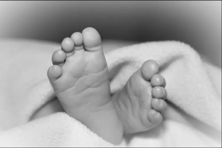 শরণখোলায় পুকুরে ডুবে শিশুর মৃত্যু