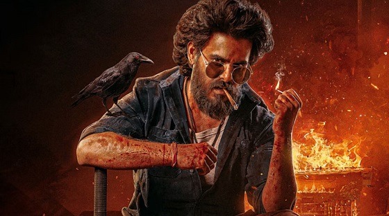 হলে বাড়লো জংলির শো