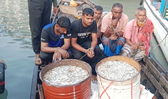 বরিশালে অভিযানিক দলের ওপর হামলা আনসার সদস্য আহত, আটক ৫