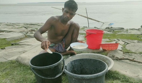 লালমোহনে বাগদা চিংড়ির রেনু ধরে প্রকাশ্যে বিক্রি