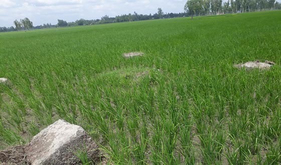 দেশের প্রথম লৌহ খনি উত্তোলন কতদুর?