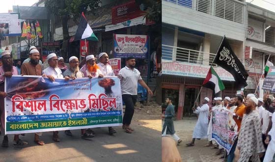 ইসরাইলের বর্বরতার প্রতিবাদে দৌলতপুরে বিক্ষোভ মিছিল