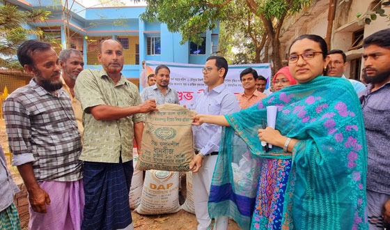 সাপাহারে কৃষকদের মাঝে বিনামূল্যে বীজ ও রাসায়নিক সার বিতরণ