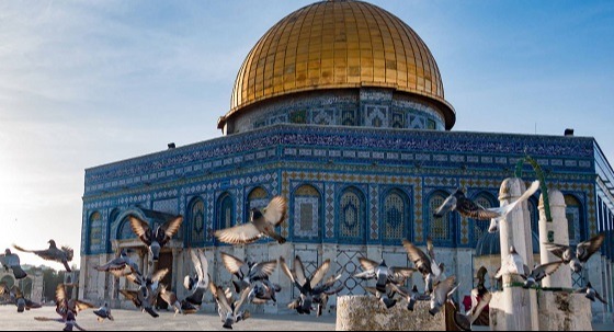 যেসব নবিগণ ফিলিস্তিনে জন্মগ্রহণ করেছিলেন