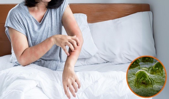 ডাস্ট অ্যালার্জি থেকে বাঁচতে তৈরি করুণ এই ৫ অভ্যাস