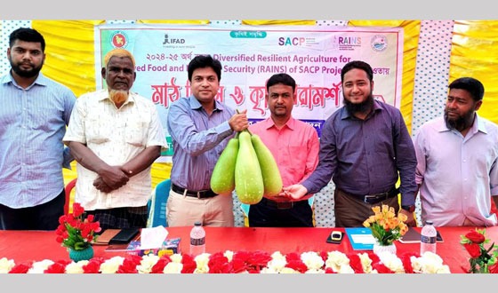 বিরলে মাঠ দিবস ও প্রদর্শনী অনুষ্ঠিত