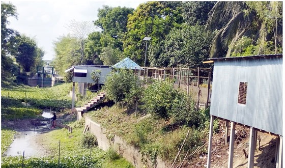 চরভদ্রাসনে দখল আর দুষনে হারিয়ে গেছে ২৪টি খাল