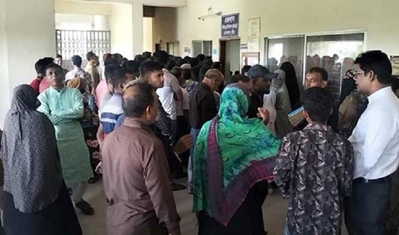 কুষ্টিয়ায় মহিষ লুট মামলায় বিএনপিা ১১ নেতাকর্মী কারাগারে