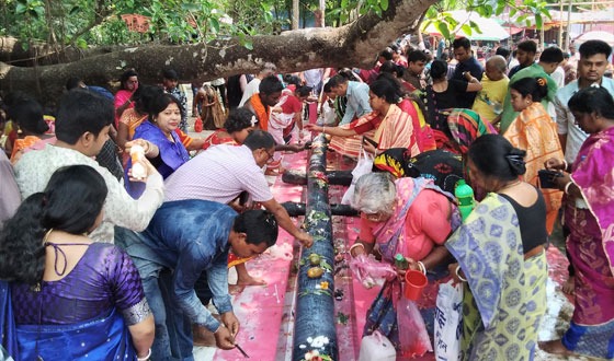 চাটমোহরে তিন দিনব্যাপী চড়ক পূজা ও মেলা