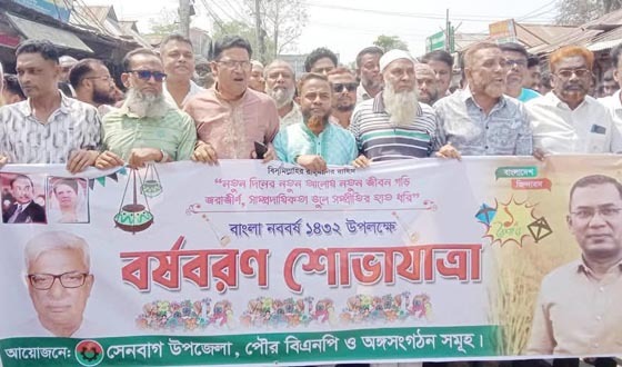 সেনবাগে বিএনপির বৈশাখী শোভাযাত্রা