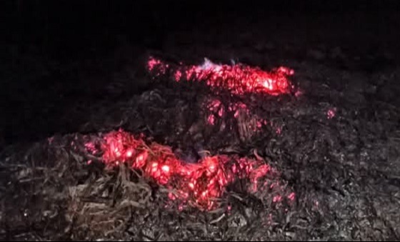 কমলগঞ্জে দুষ্কৃতকারীদের আগুনে ঘরসহ সবজি বাগান পুড়ে ভস্মীভূত