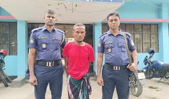 জামালপুরে গাছ কাটাকে কেন্দ্র করে মাকে হত্যা, প্রধান আসামি ছেলে গ্রেফতার