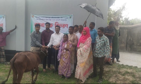 ক্ষেতলালে ৫২টি ক্ষুদ্র নৃ-গোষ্ঠী পরিবারের মাঝে গবাদি পশু ও উপকরণ বিতরণ