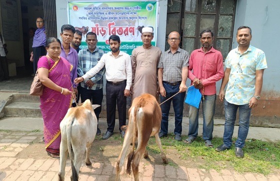 কমলগঞ্জে ক্ষুদ্র নৃ-গোষ্ঠীর মাঝে ষাড় গরু বিতরণ