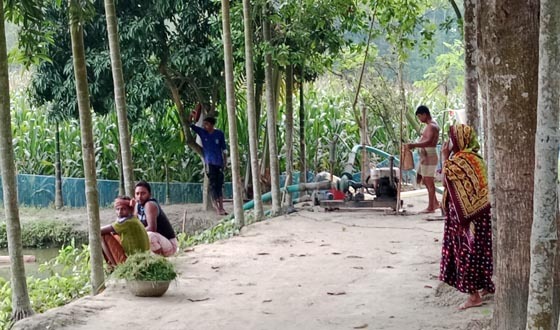 পীরগাছায় বিরোধের জেরে পুকুর থেকে লক্ষাধিক টাকার মাছ মারার অভিযোগ