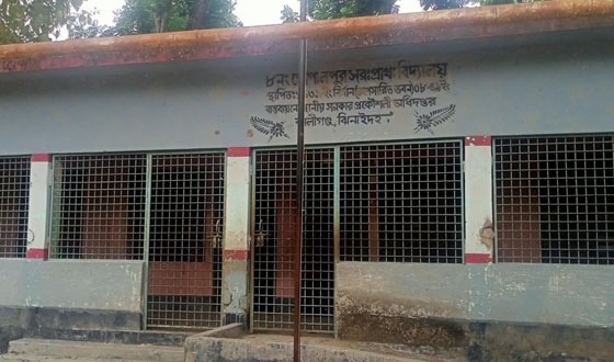 দুর্ঘটনার ঝুঁকিতে গোপালপুর সরকারি প্রাথমিক বিদ্যালয়ের শিক্ষার্থীরা