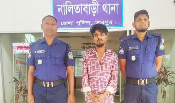 শেরপুরে কিশোরীকে ধর্ষণ চেষ্টার অভিযোগে যুবক গ্রেপ্তার
